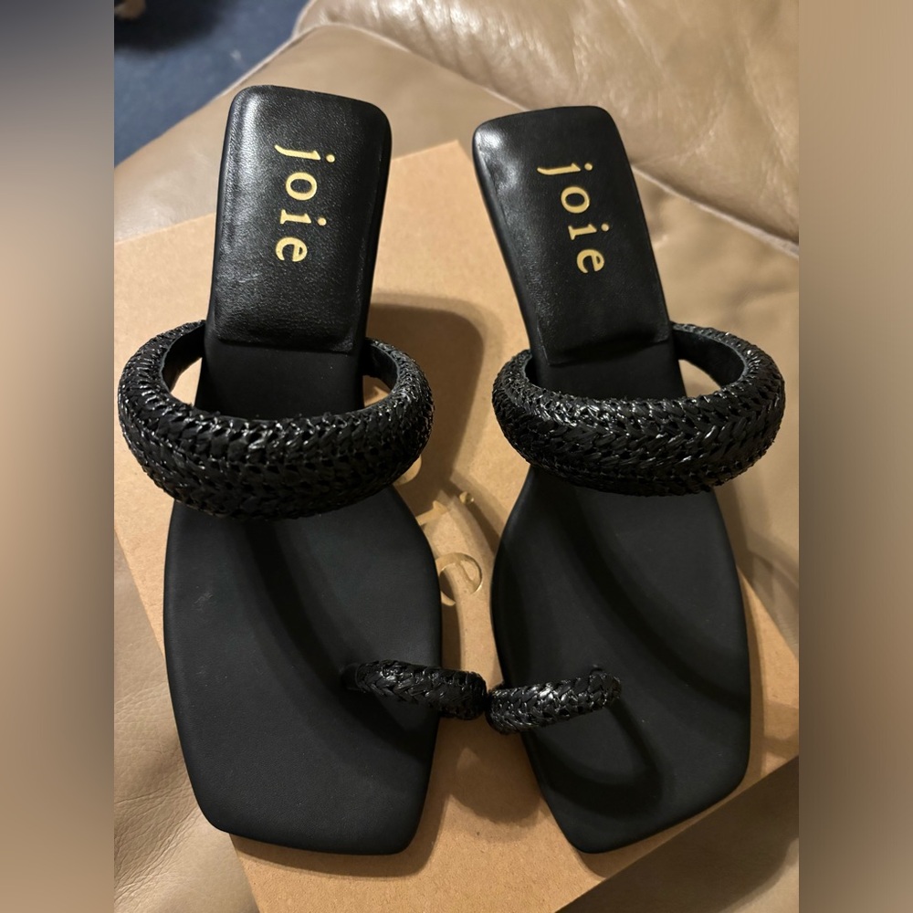Brand New Joie Heel Sandals